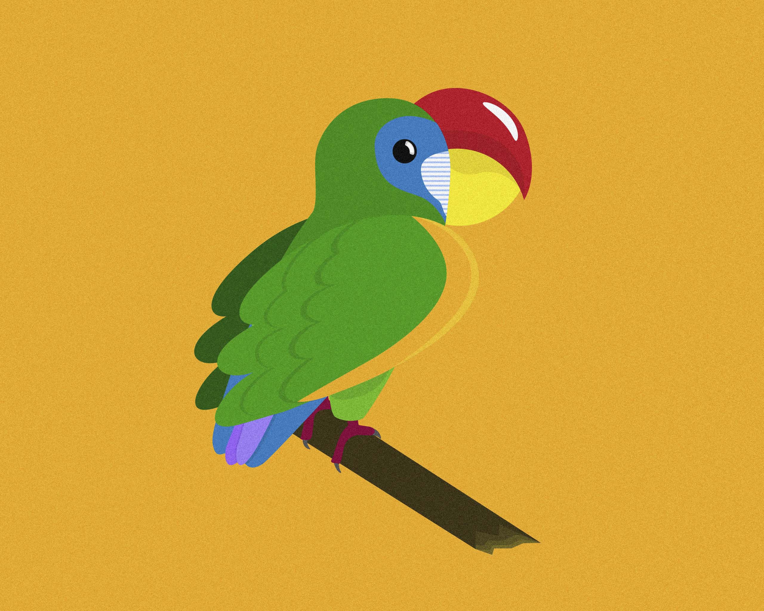 Colourful parrot illustration